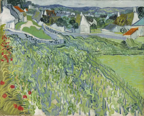 Vineyards