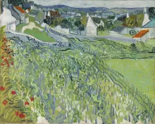 Vineyards